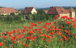 Ferme auberge des Collines - Coquelicots